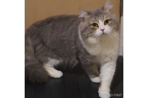 ちくわくん1枚目